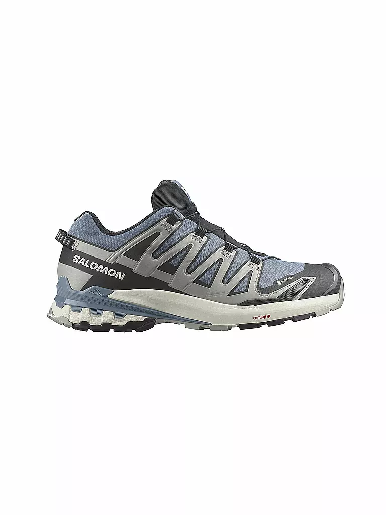 SALOMON Herren Traillaufschuhe XA PRO 3D V9 GTX grau